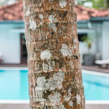Cattleya Villa Хиккадува Экстерьер фото