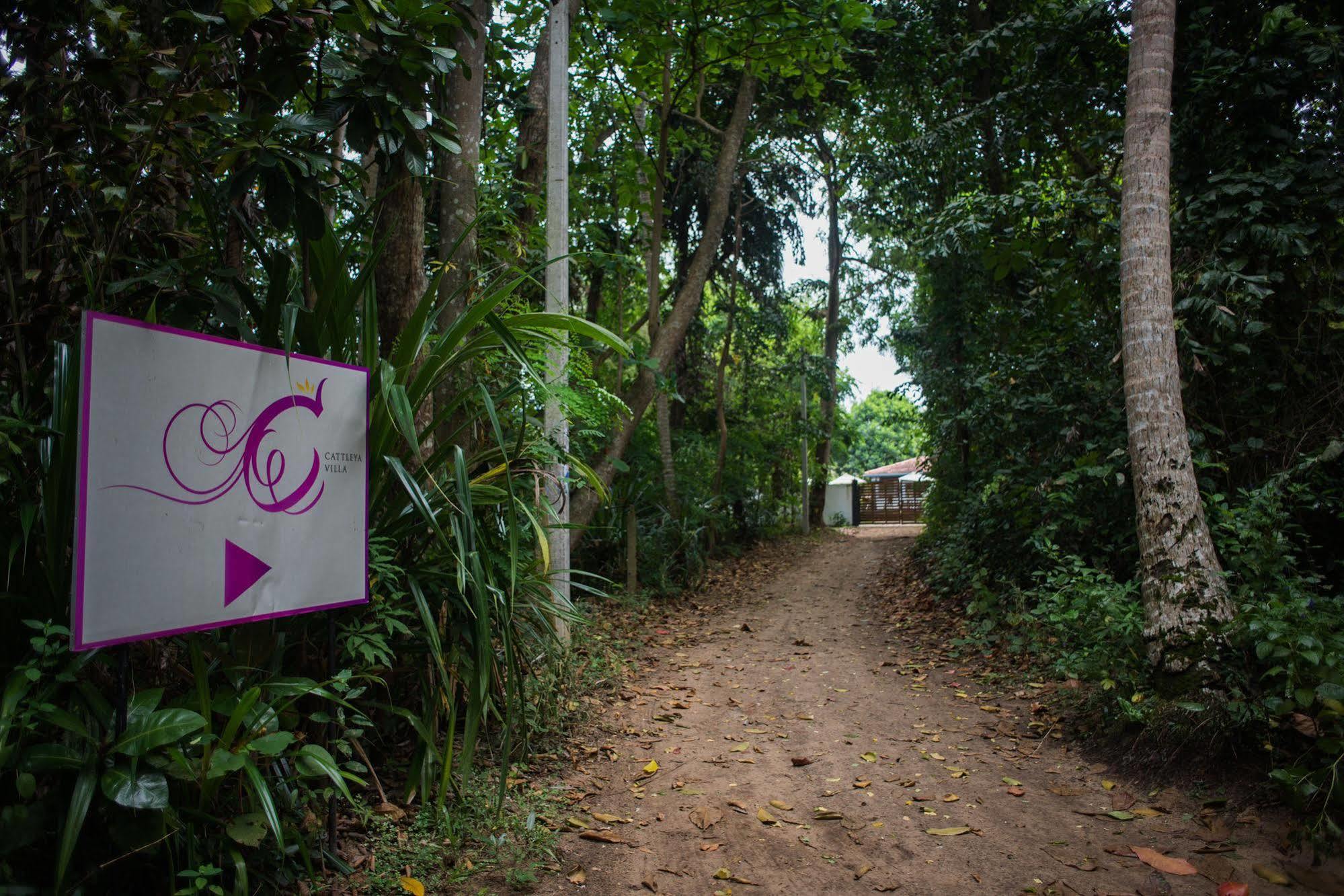 Cattleya Villa Хиккадува Экстерьер фото
