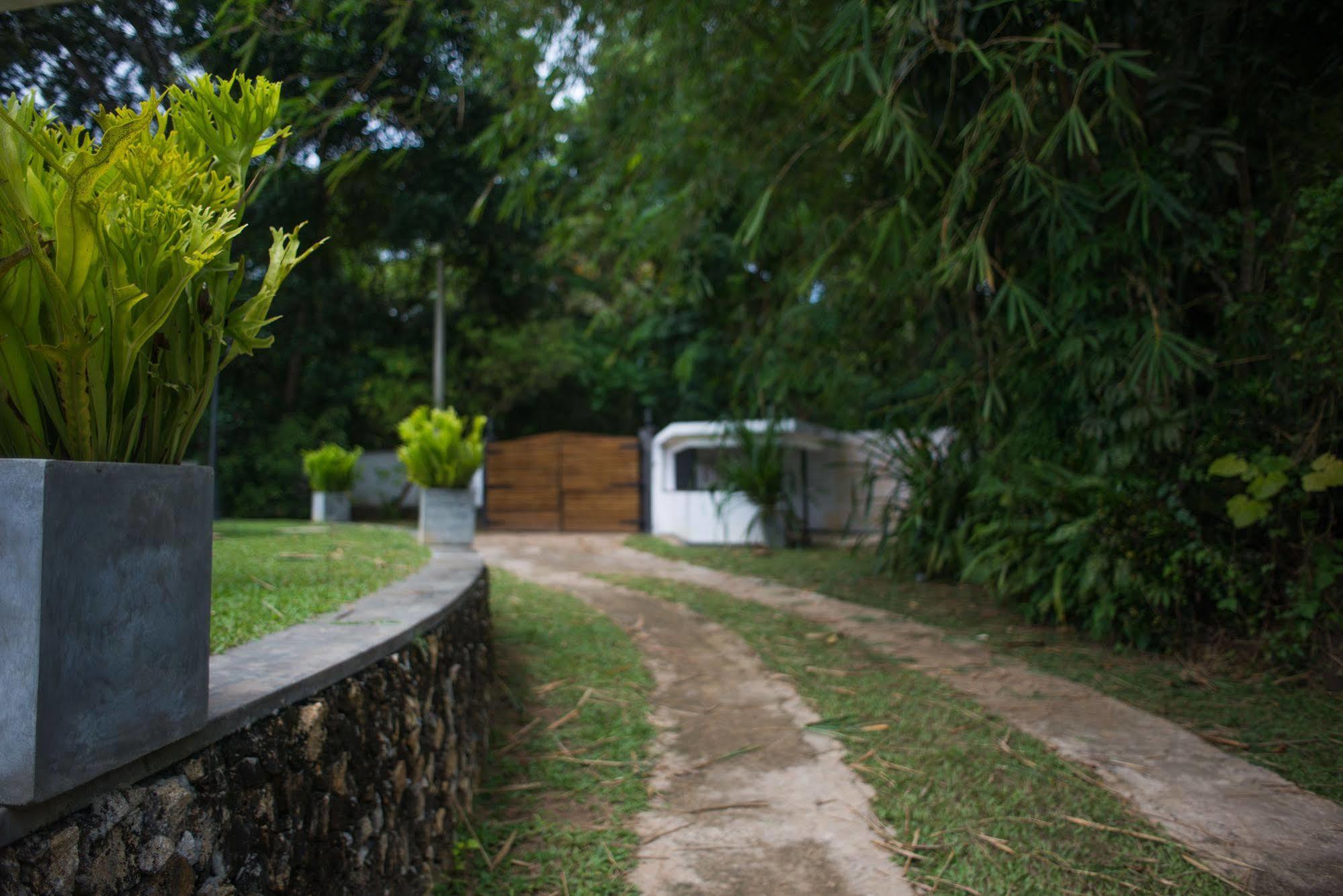 Cattleya Villa Хиккадува Экстерьер фото